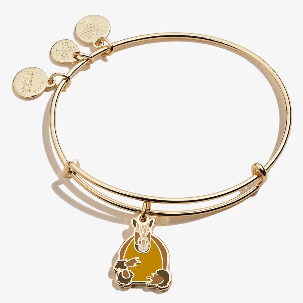Alex and Ani Friends Holiday Armadillo Bangle